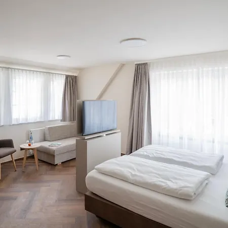 Marktplatz-hotel Ochsen 호텔 3*