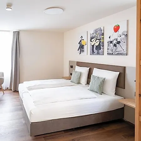 Marktplatz-hotel Ochsen 酒店
