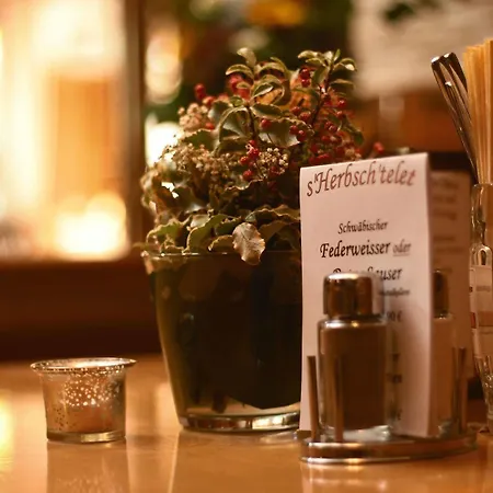 Marktplatz-hotel Ochsen 酒店